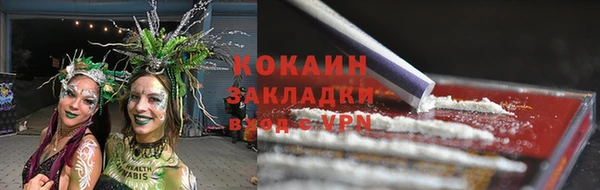 ешки Арсеньев