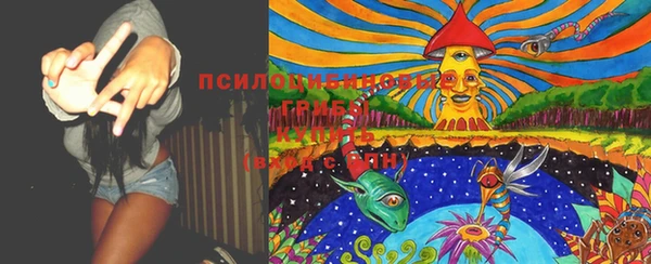 ешки Арсеньев